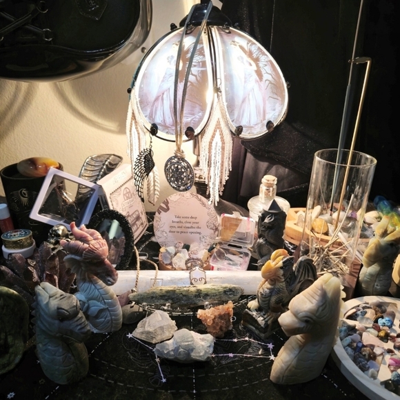 Meet Luna - Picture 5 of 16